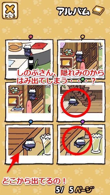 ねこあつめ 発見 レアねこ しのぶさん が空中浮遊で出現する方法 アウトドア好き40代主婦のインドアな生活